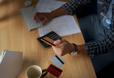 Secure payment interface