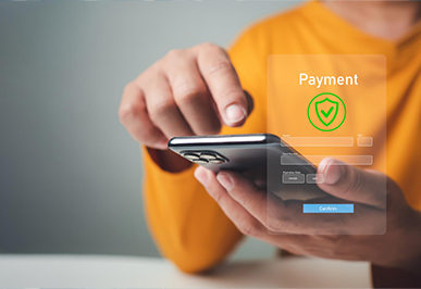 Online fee payment system